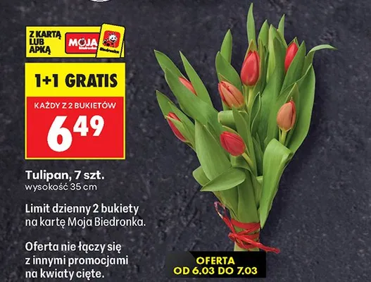 Tulipan, 7 szt. wysokość 35 cm promocja w Biedronka