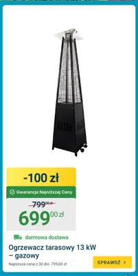 Ogrzewacz tarasowy gazowy promocja w ERLI