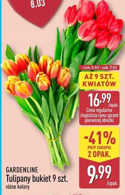 Tulipany bukiet 9 szt. różne kolory promocja w Aldi