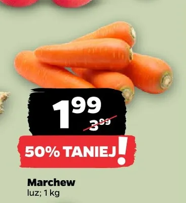 Marchew promocja w Netto