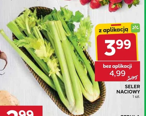 Seler naciowy promocja w Stokrotka