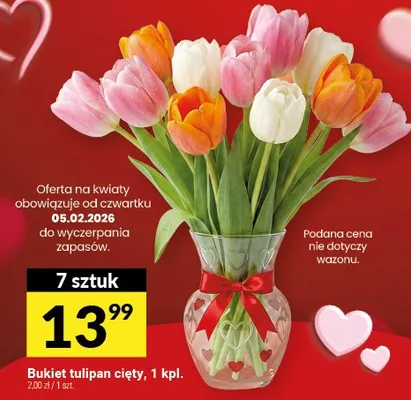Bukiet tulipan cięty promocja w Twój Market