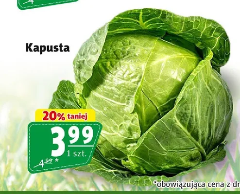 Kapusta promocja w Prim Market