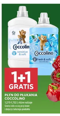Płyn do płukania Coccolino promocja w Stokrotka