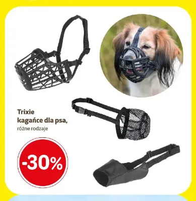 Kagańce dla psa Trixie promocja w Super Zoo