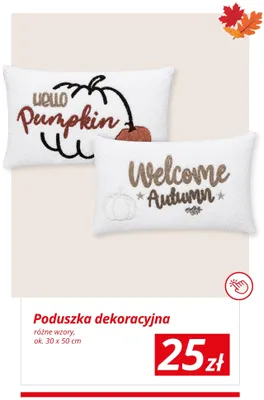 Poduszka dekoracyjna ok. 30x50 cm promocja w KiK