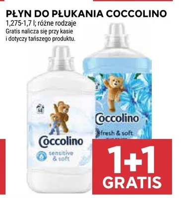 Płyn do płukania Coccolino różne rodzaje promocja w Stokrotka