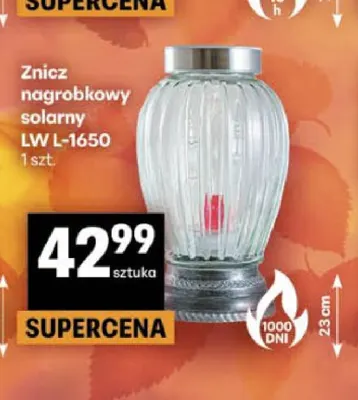 Znicz nagrobkowy solarny Lw L-1650 promocja w Delikatesy Centrum