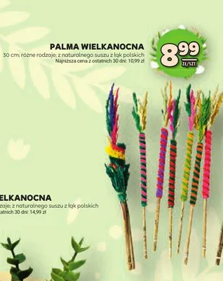 Palma wielkanocna 80cm różne rodzaje z naturalnego suszu z łąk polskich promocja w Stokrotka