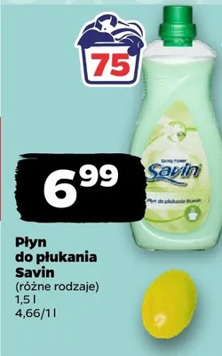 Płyn do płukania (różne rodzaje) promocja w Netto