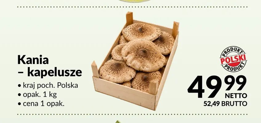Kania kapelusze promocja w Makro