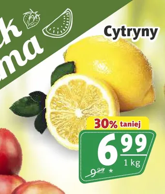 Cytryny promocja w Prim Market