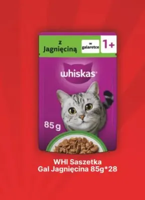 Karma dla kota Whiskas saszetka galaretka jagnięcina promocja w API Market