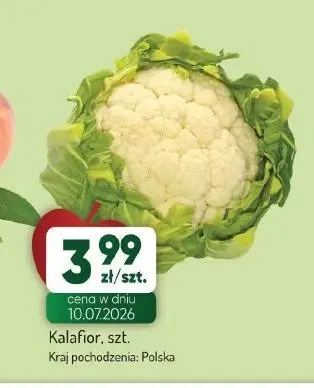 Kalafior promocja w Avita
