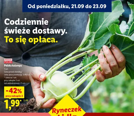 Kalarepa polska promocja w Lidl