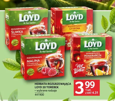 Herbata rozgrzewająca Loyd śliwka z cynamonem i figą promocja w Selgros