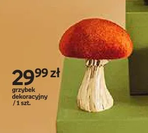 Grzybek dekoracyjny Hello Autumn promocja w Empik