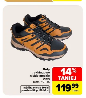 Buty trekkingowe niskie męskie Vico promocja w Carrefour