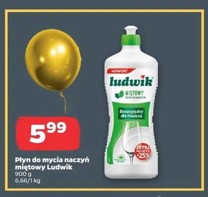 Płyn do mycia naczyń miętowy Ludwik promocja w Netto