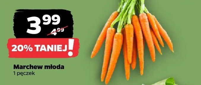 Marchew młoda, pęczek promocja w Netto