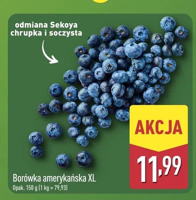 Borówka amerykańska XL promocja w Aldi