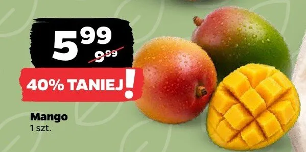 Mango promocja w Netto