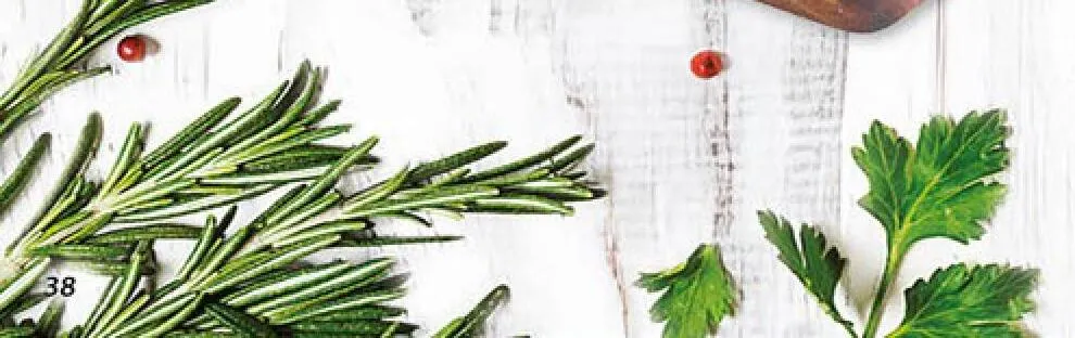 Gazetka 06 / 2026, strona 37 promocja w Dino