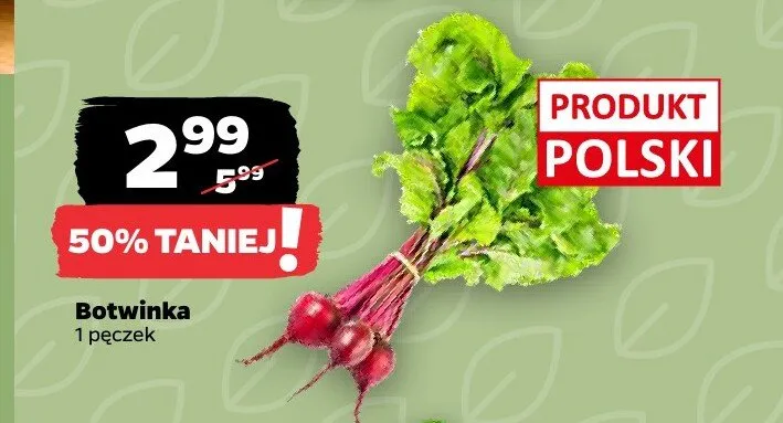 Botwinka polska promocja w Netto