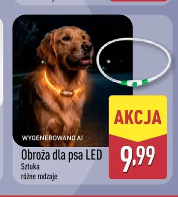 Obroża dla psa LED promocja w Aldi