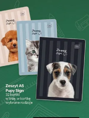 Zeszyt A5 w kratkę 32 kartki Puppy Sign promocja w Delikatesy Centrum