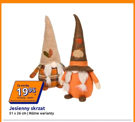 Jesienny skrzat 51x26 cm promocja w Action