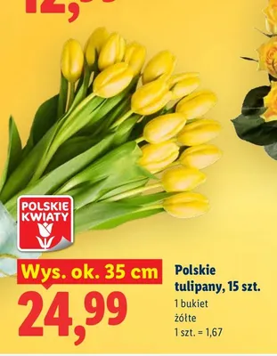 Polskie tulipany wys. ok. 35 cm promocja w Lidl