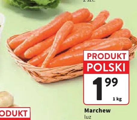 Marchew promocja w Intermarche
