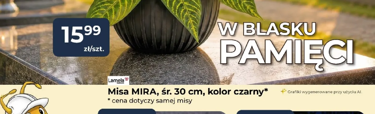 Misa Mira Lamela promocja w PSB Mrówka