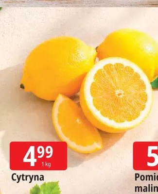 Cytryna promocja w Leclerc