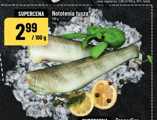 Nototenia tusza promocja w POLOmarket
