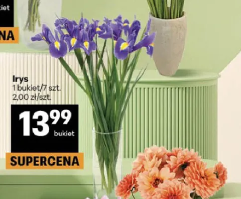 Irys 7-pak promocja w Delikatesy Centrum