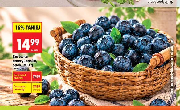Borówka amerykańska promocja w Biedronka