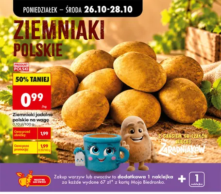Ziemniaki jadalne polskie promocja w Biedronka