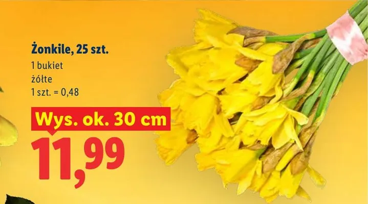 Żonkile bukiet 25 szt., 30 cm promocja w Lidl