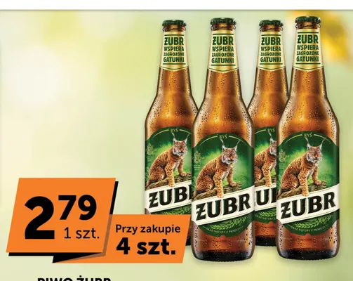 Piwo Żubr promocja w Euro Sklep
