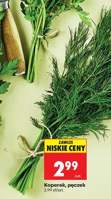 Koperek pęczek promocja w Biedronka