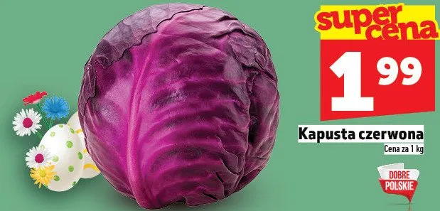 Kapusta czerwona promocja w TOPAZ
