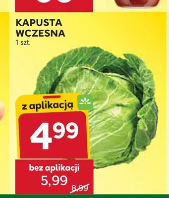Kapusta wczesna promocja w Stokrotka