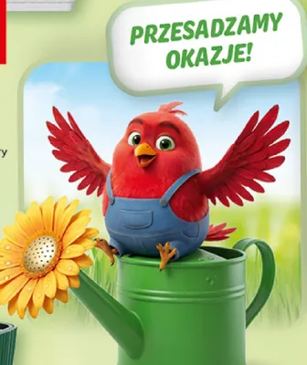 Gazetka 30 Lat Hipermarket Auchan, strona 6 promocja w Auchan