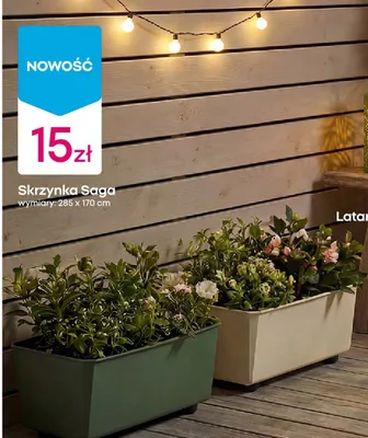 Skrzynka Saga promocja w Pepco