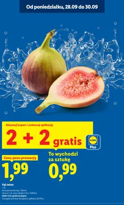 Figi świeże promocja w Lidl