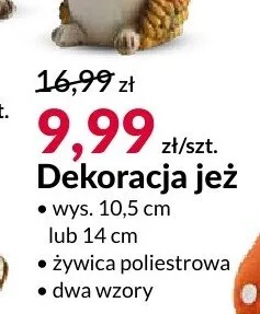 Dekoracja jeż wys. 10,5 cm lub 14 cm promocja w Salony Agata