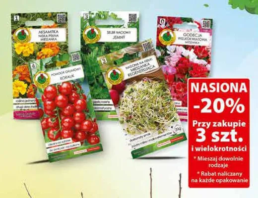 Nasiona różne rodzaje promocja w Dino