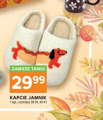 Kapcie jamnik promocja w Stokrotka